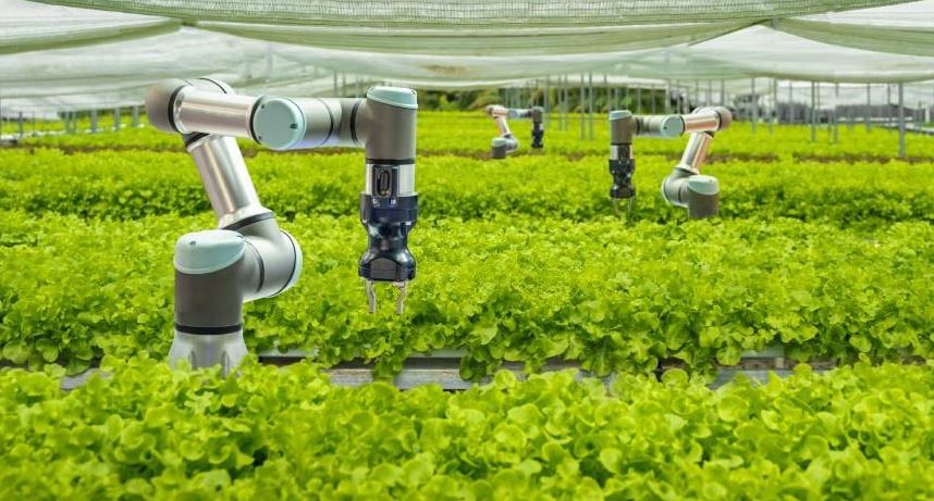 Revolutionizing Farming: The Future of Smart Agriculture